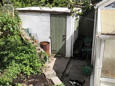 Picture 20